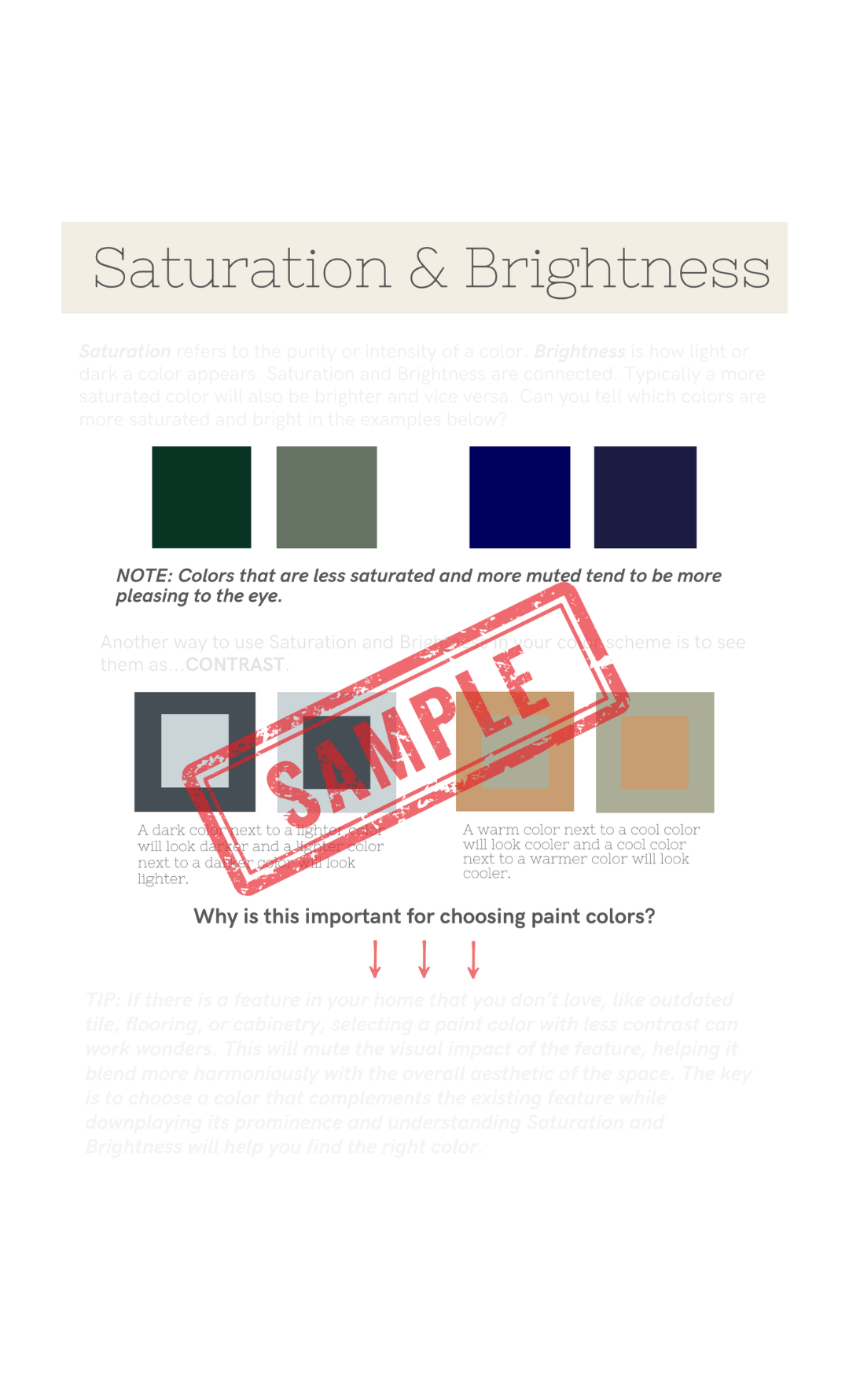 The Paint Palette Playbook