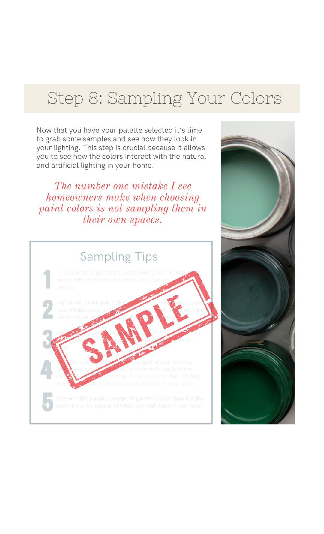 The Paint Palette Playbook