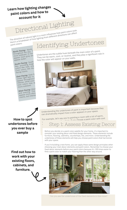 The Paint Palette Playbook